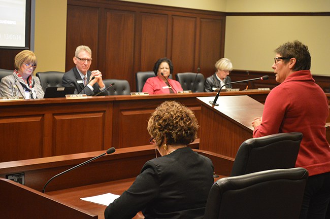 IEA President Penni Cyr speaking to Senate Education Committee